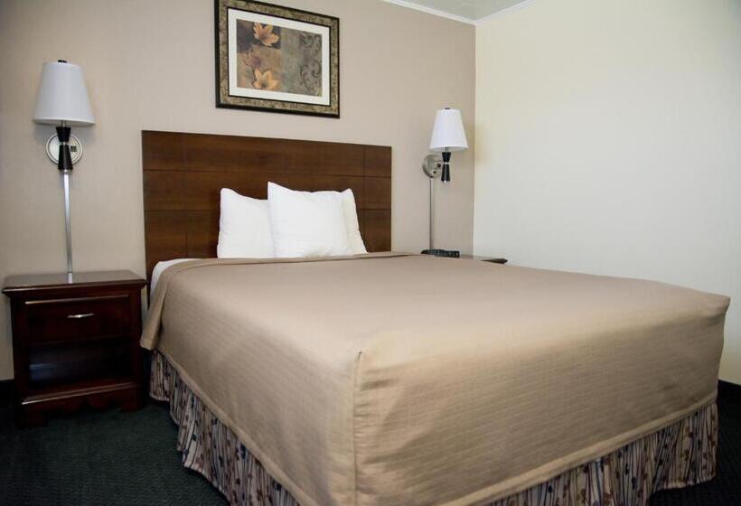 בית מלון כפרי Travelers Inn