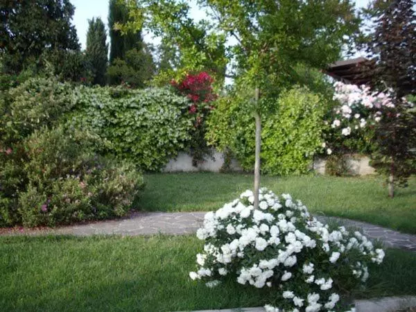 Aamiaismajoitus (B&B) La Magnolia   Fano