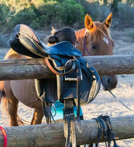 Bed and Breakfast Casa Casti