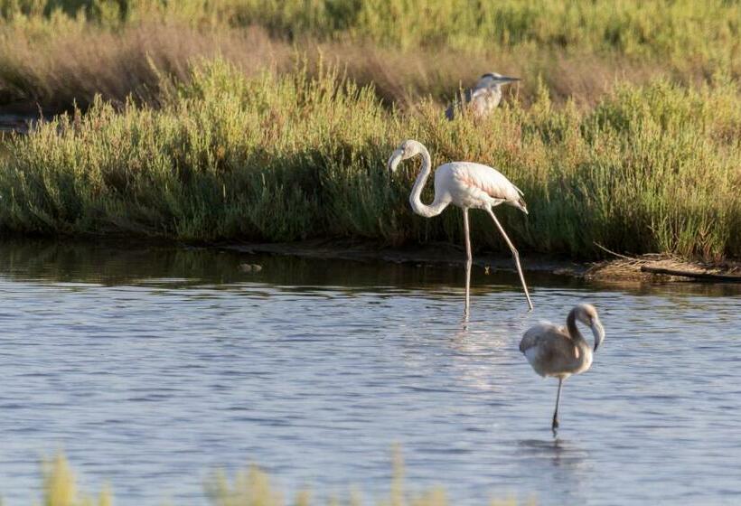 Bed and Breakfast Casa Casti