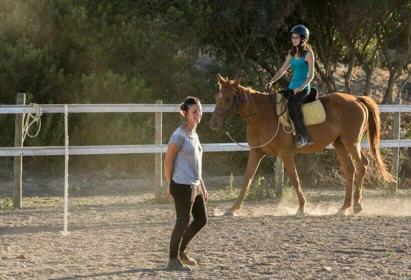 Bed and Breakfast Casa Casti