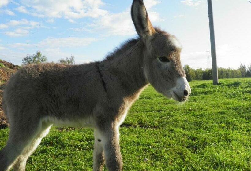 Bed and Breakfast Casa Casti