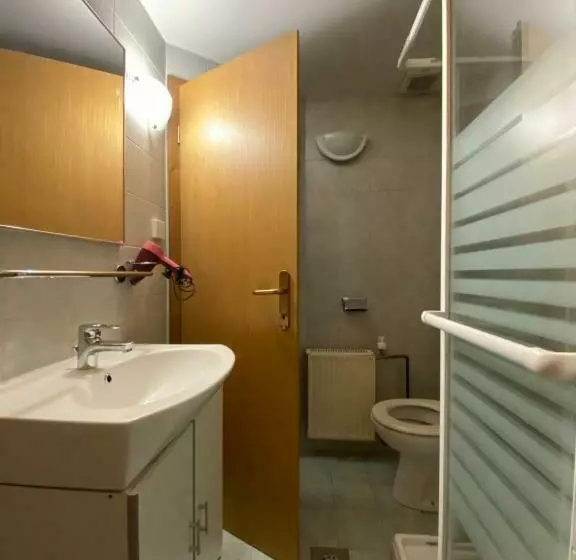 تختخواب و صبحانه Hiša Planšar Bohinj Accommodations