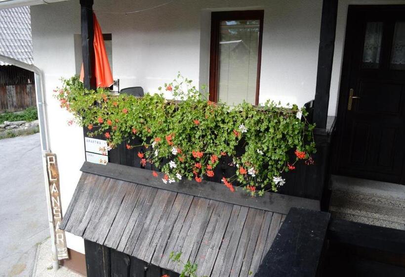 تختخواب و صبحانه Hiša Planšar Bohinj Accommodations