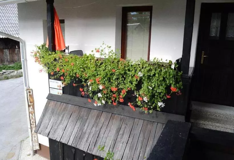 تختخواب و صبحانه Hiša Planšar Bohinj Accommodations