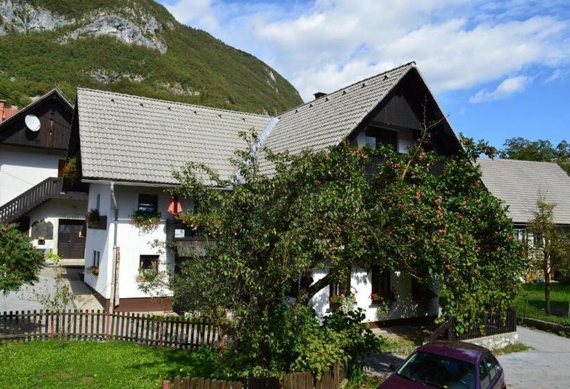 تختخواب و صبحانه Hiša Planšar Bohinj Accommodations