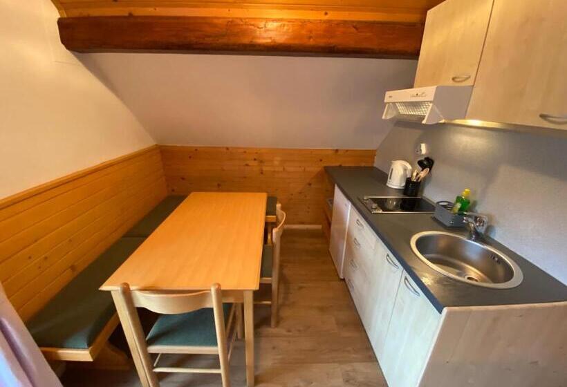 تختخواب و صبحانه Hiša Planšar Bohinj Accommodations