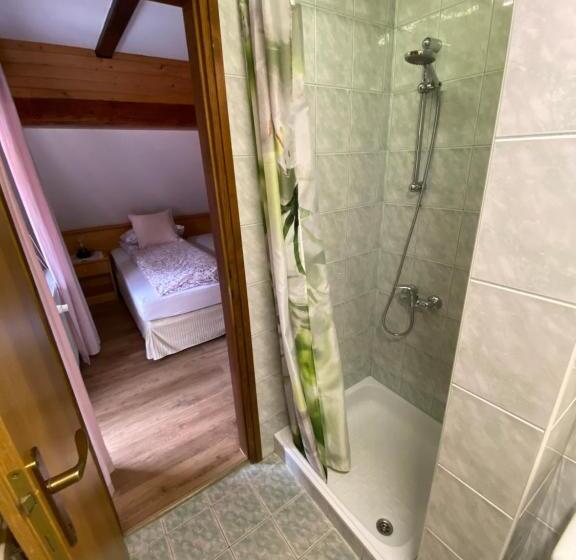 تختخواب و صبحانه Hiša Planšar Bohinj Accommodations