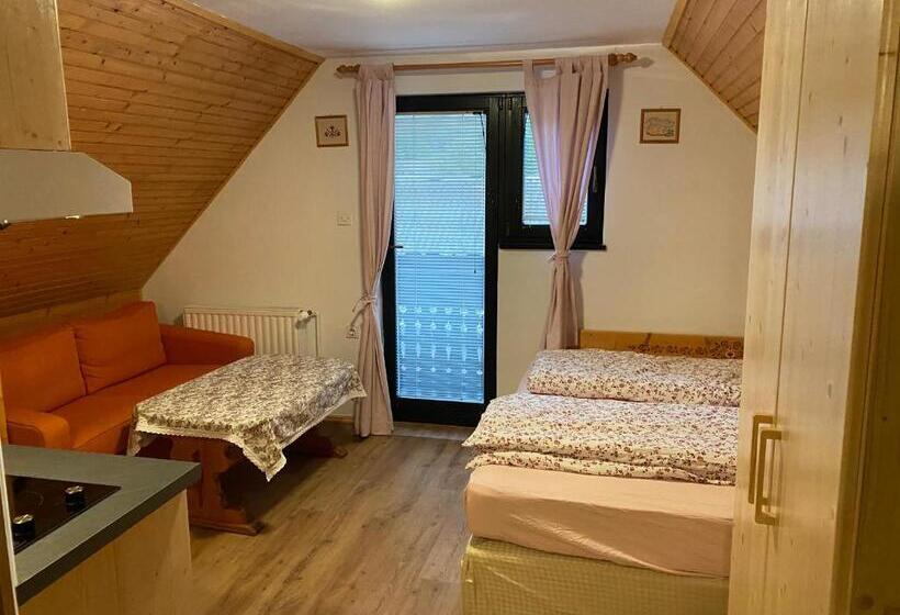تختخواب و صبحانه Hiša Planšar Bohinj Accommodations