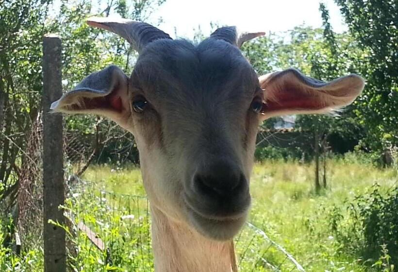 צימר L Orme Vial