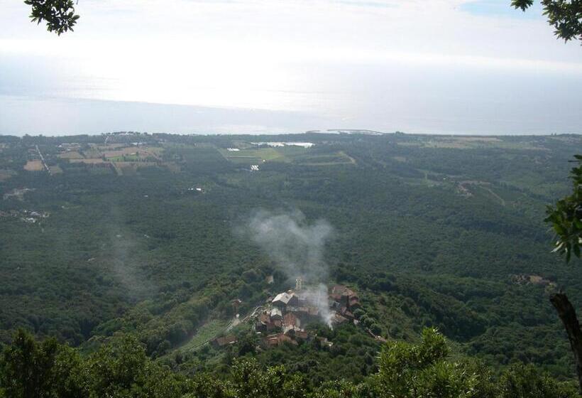 فندق Costa Verde