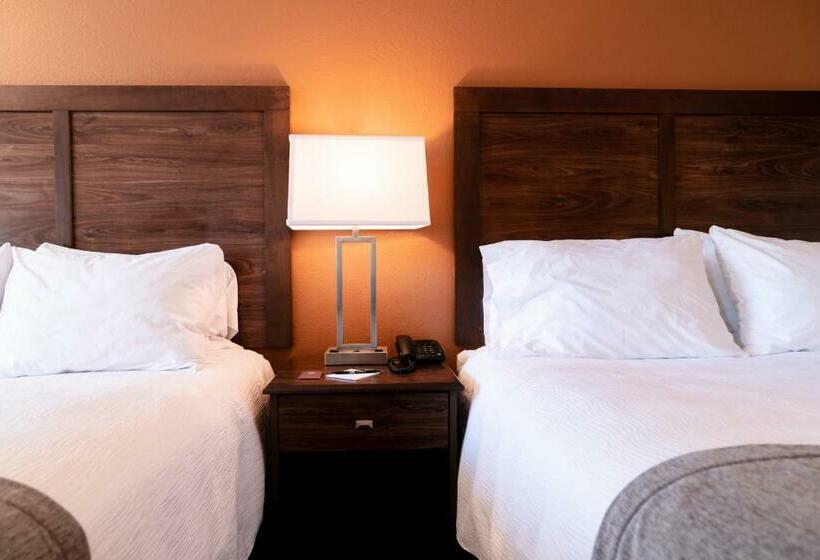 Отель Riviera Motor Lodge