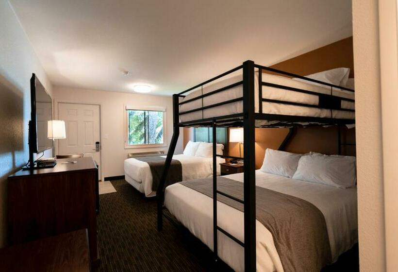 Отель Riviera Motor Lodge