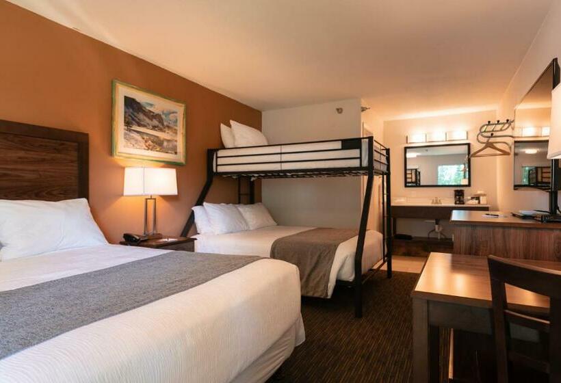 Отель Riviera Motor Lodge