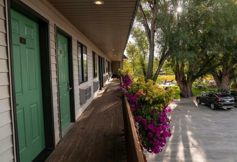 Отель Riviera Motor Lodge