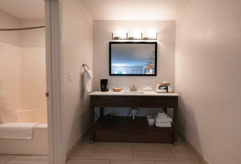 Отель Riviera Motor Lodge