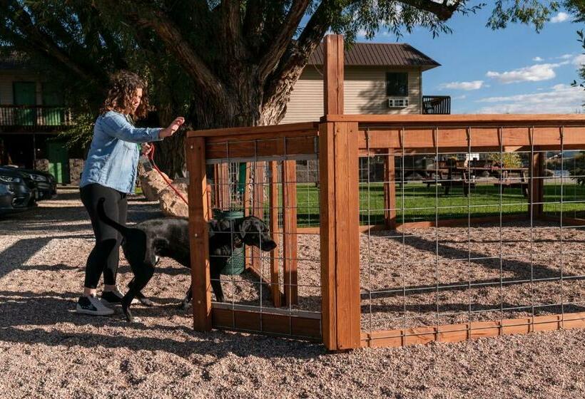 Отель Riviera Motor Lodge