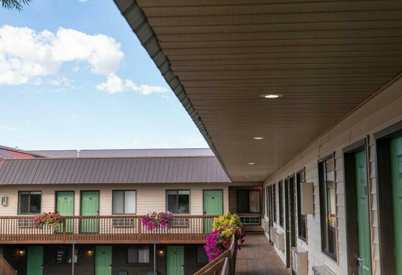 Отель Riviera Motor Lodge