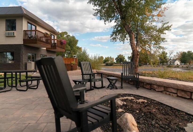 Отель Riviera Motor Lodge