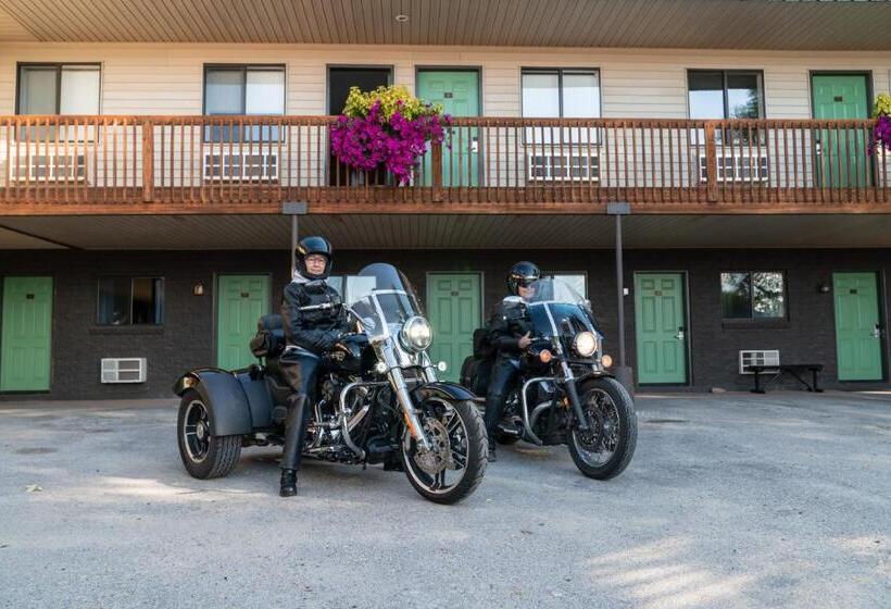 Отель Riviera Motor Lodge