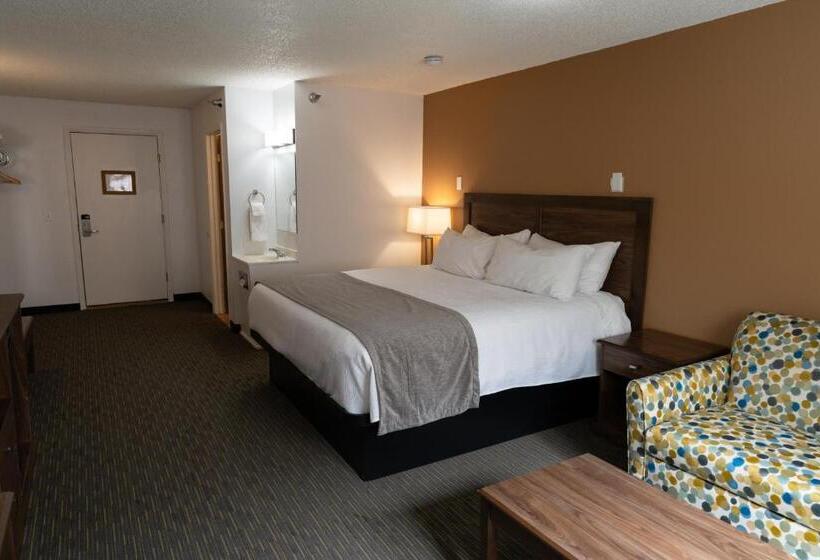 Отель Riviera Motor Lodge