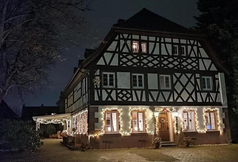 פנסיון Boutique Hotel Krone