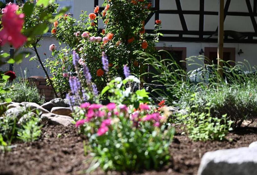 פנסיון Boutique Hotel Krone