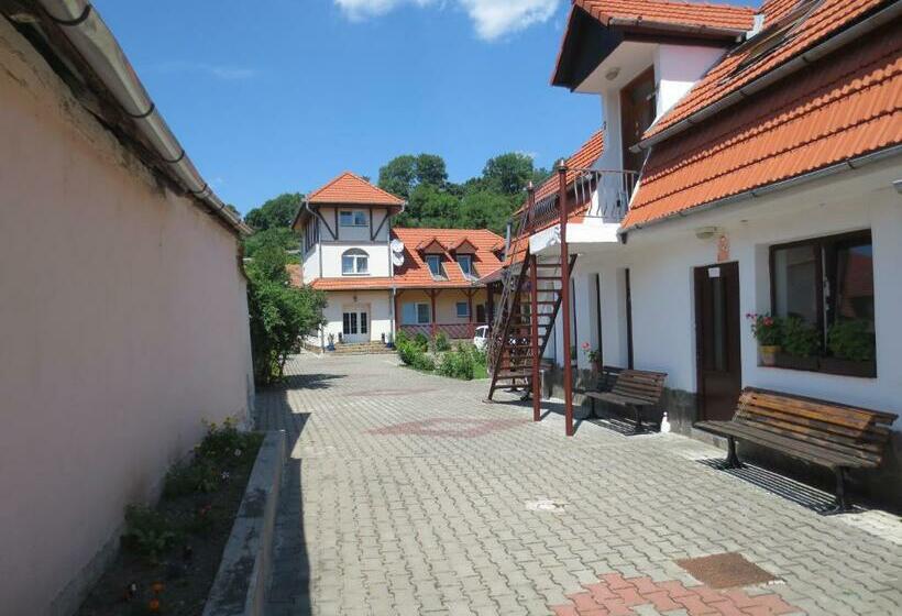 Pensiunea Hera Standard