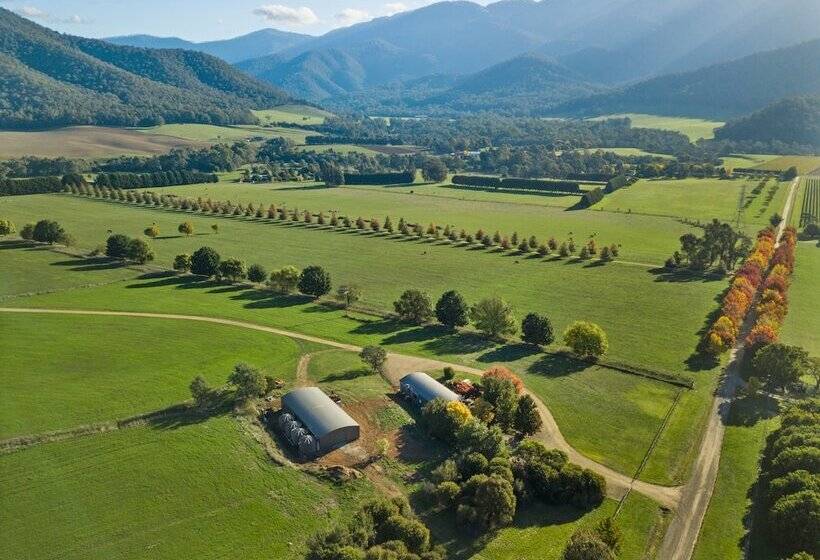 住宿加早餐 The Buckland Studios