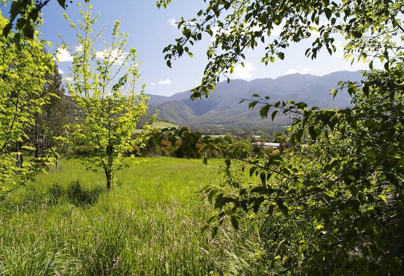 住宿加早餐 The Buckland Studios