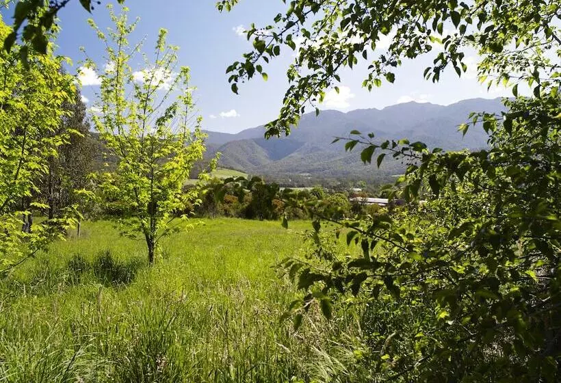 Aamiaismajoitus (B&B) The Buckland Studios