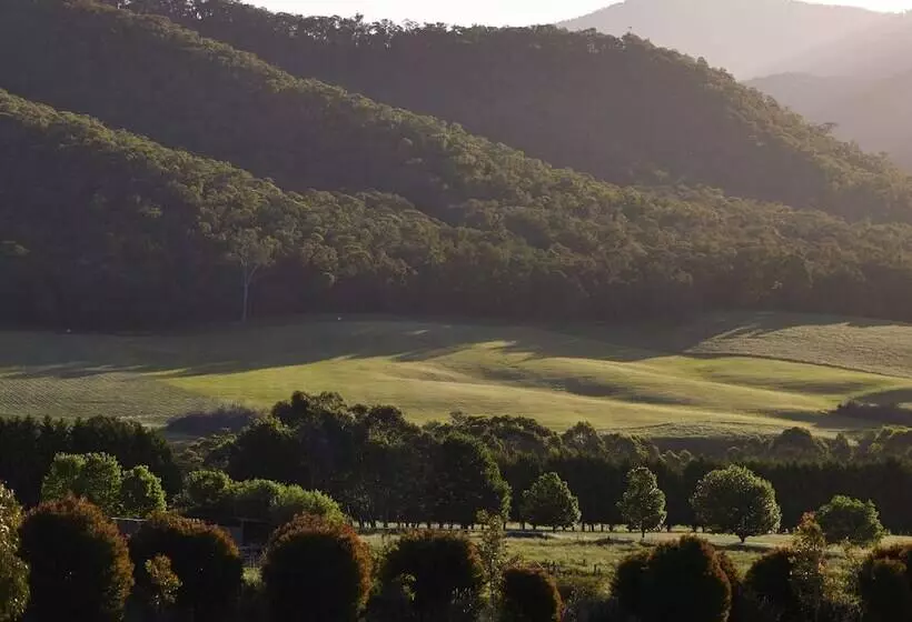 Aamiaismajoitus (B&B) The Buckland Studios