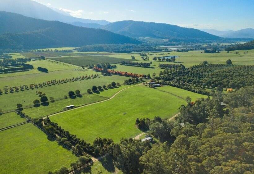 住宿加早餐 The Buckland Studios