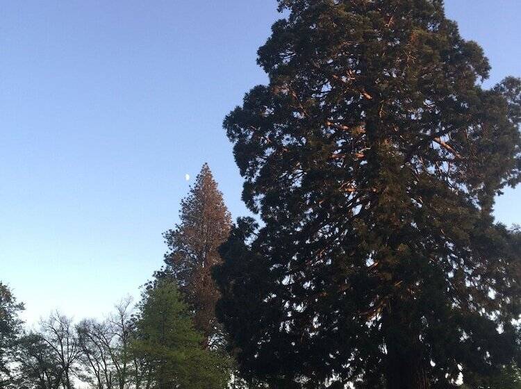 Geraldine Top 10 Holiday Park