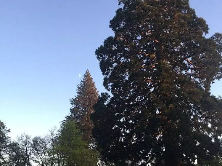 Geraldine Top 10 Holiday Park