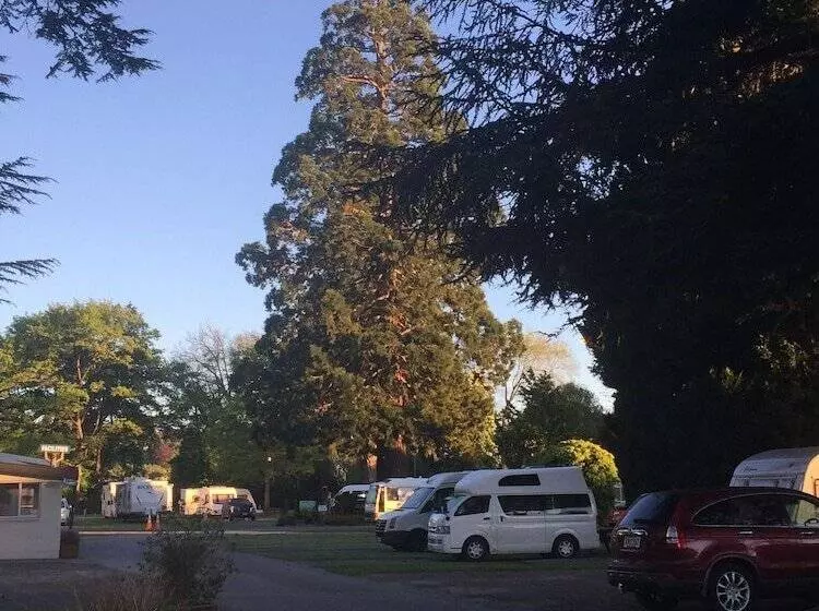 Geraldine Top 10 Holiday Park