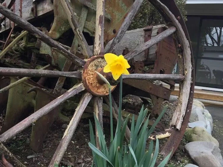 Geraldine Top 10 Holiday Park