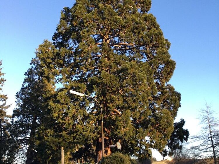 Geraldine Top 10 Holiday Park