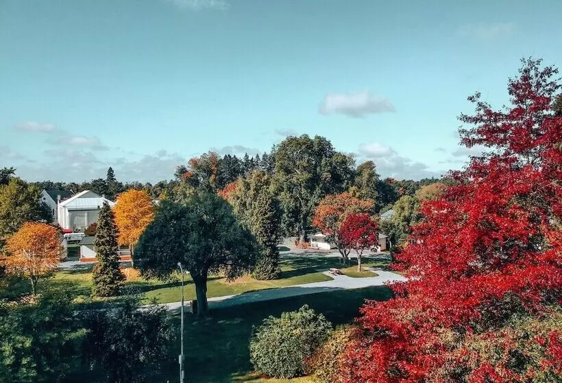 Geraldine Top 10 Holiday Park