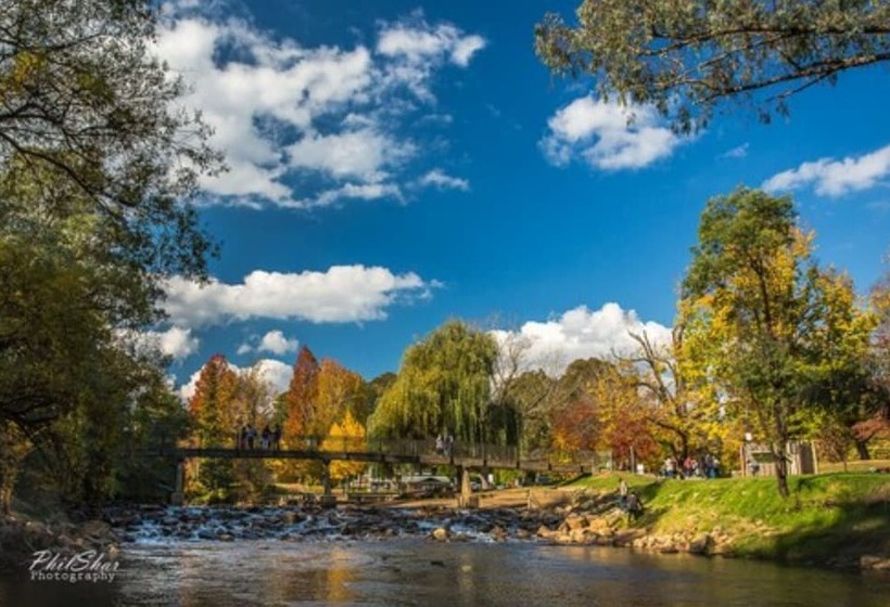 리조트 Discovery Parks   Mount Buffalo
