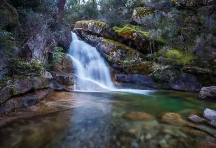 Lomakeskus Discovery Parks   Mount Buffalo