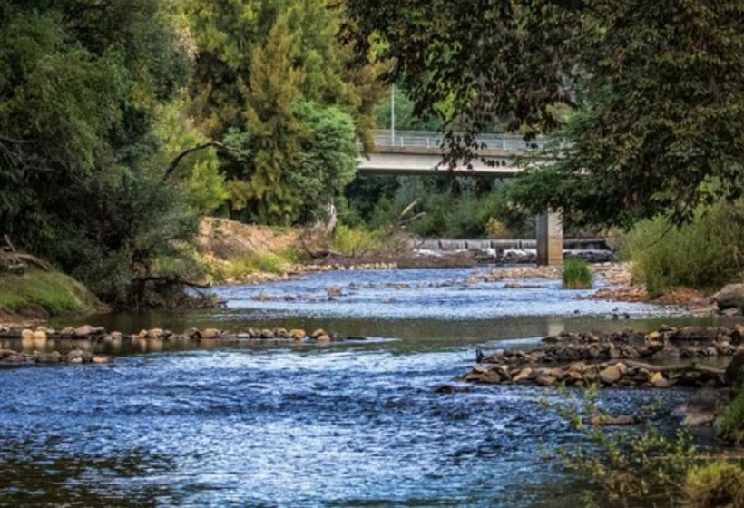 리조트 Discovery Parks   Mount Buffalo