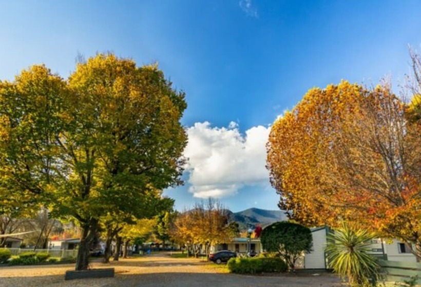 리조트 Discovery Parks   Mount Buffalo