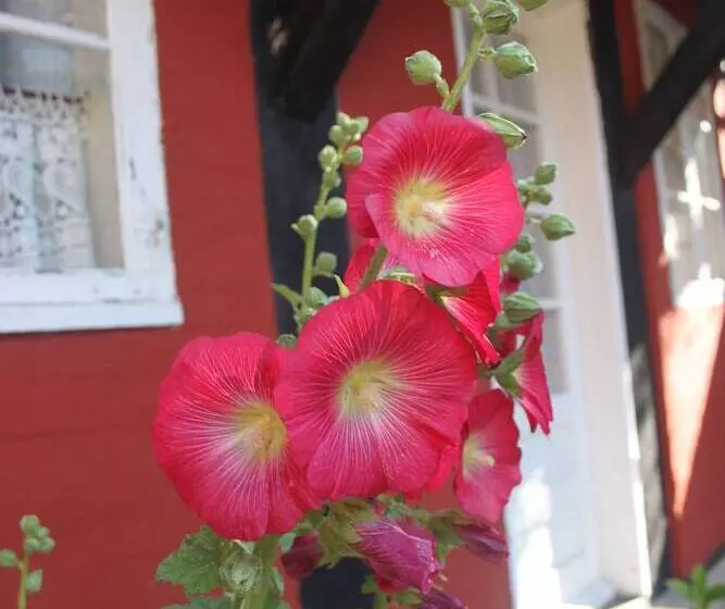 ホテル Pension Sandbogaard