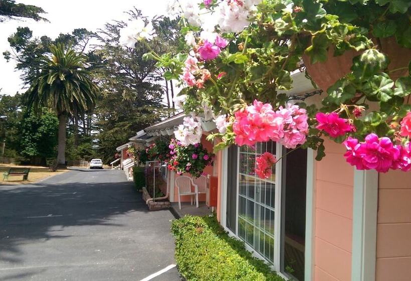 مُتل Butterfly Grove Inn