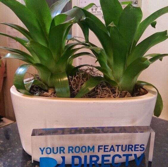 مُتل Butterfly Grove Inn