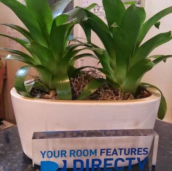 Motelli Butterfly Grove Inn