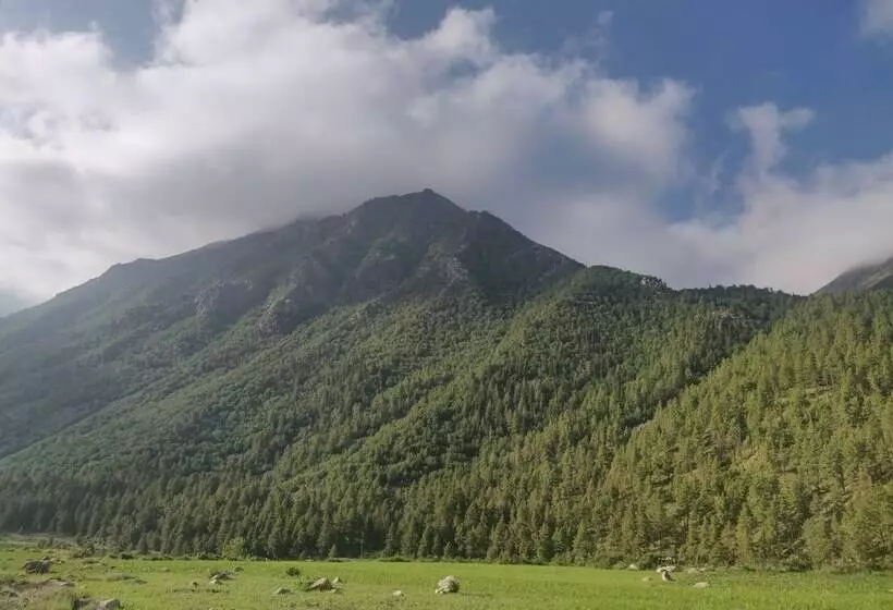 ホテル Samaa Resorts Chitkul Heights