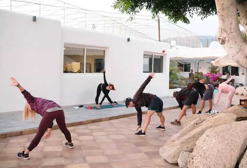 The Tree House Hostel