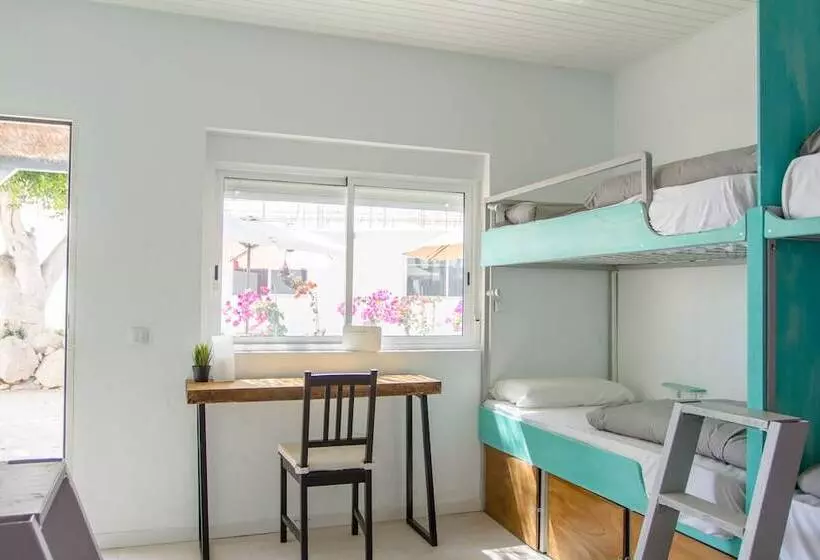 The Tree House Hostel